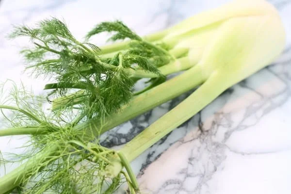 Fennel