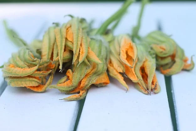 Sun-Dried Tomato and Goat Cheese Stuffed Squash Blossoms Pre Fry_edited-1