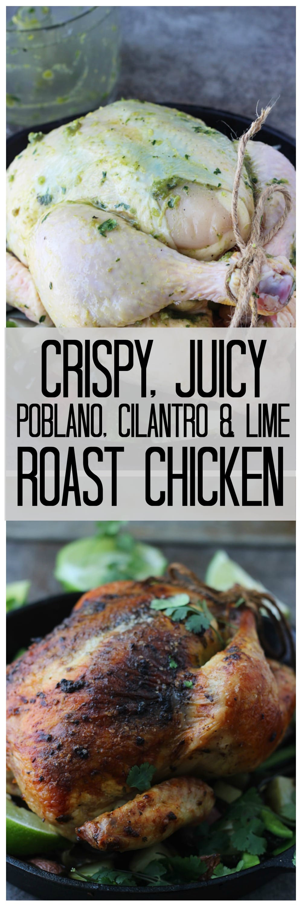 Poblano, Cilantro and Lime Roasted Chicken-Succulent, juice and SO flavorful. Seriously, the BEST roast chicken!