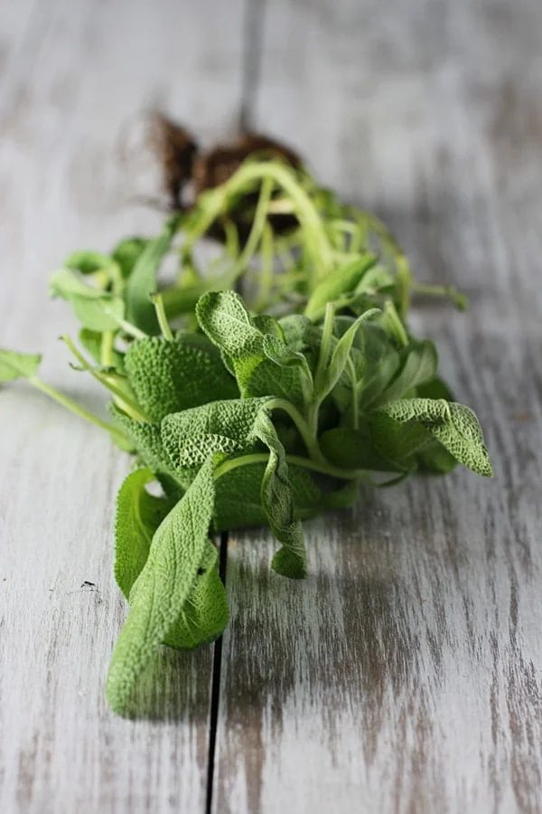 Saltimbocca Burgers 5