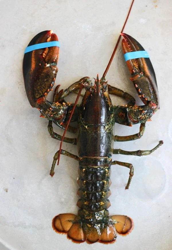 Lobster Spaghetti (Santorini Style)