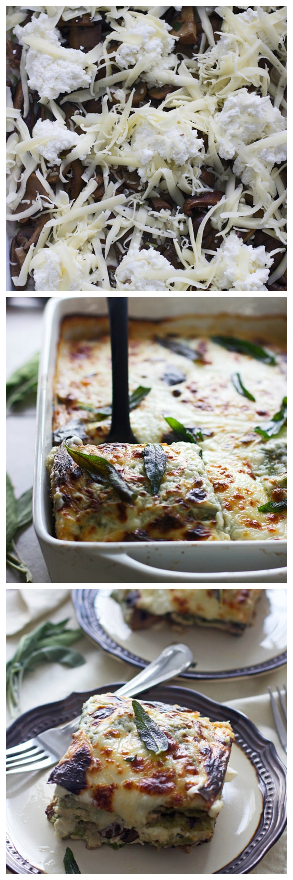 Triple Mushroom Lasagna with Ricotta, Sage and Fontina - Literally the most delicious lasagna you'll ever taste...