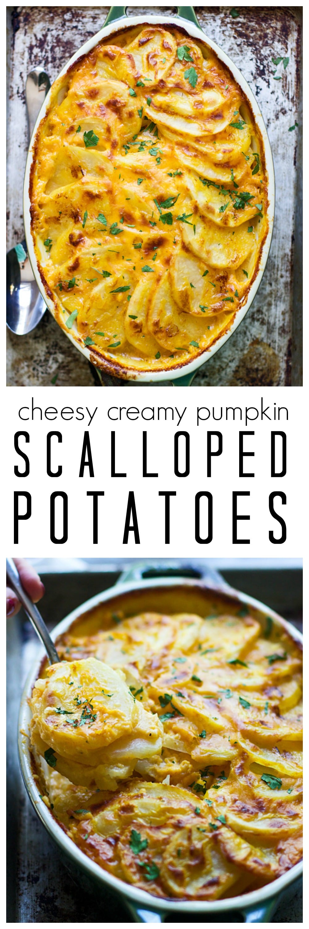 Cheesy, Creamy Pumpkin Scalloped Potatoes