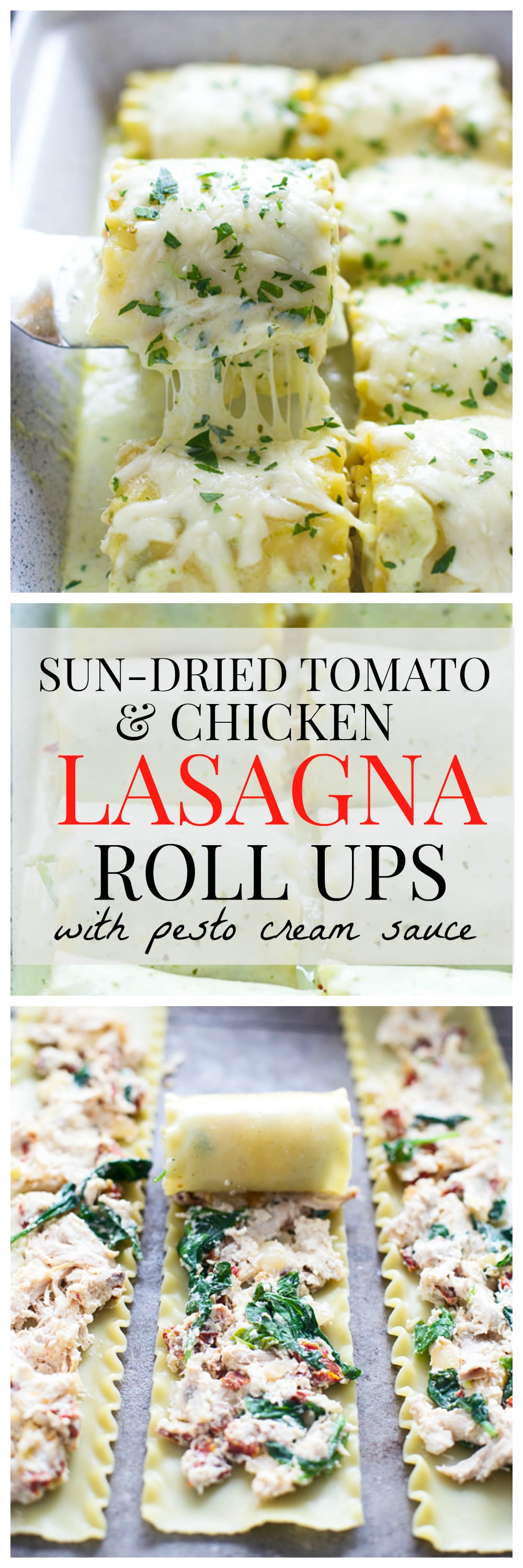 Sun-Dried Tomato and Chicken Lasagna Roll Ups with Pesto Cream