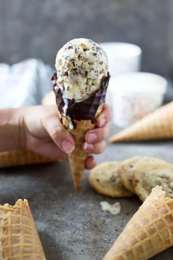 Chocolate Chip Cookie Cookie Dough Ice Cream