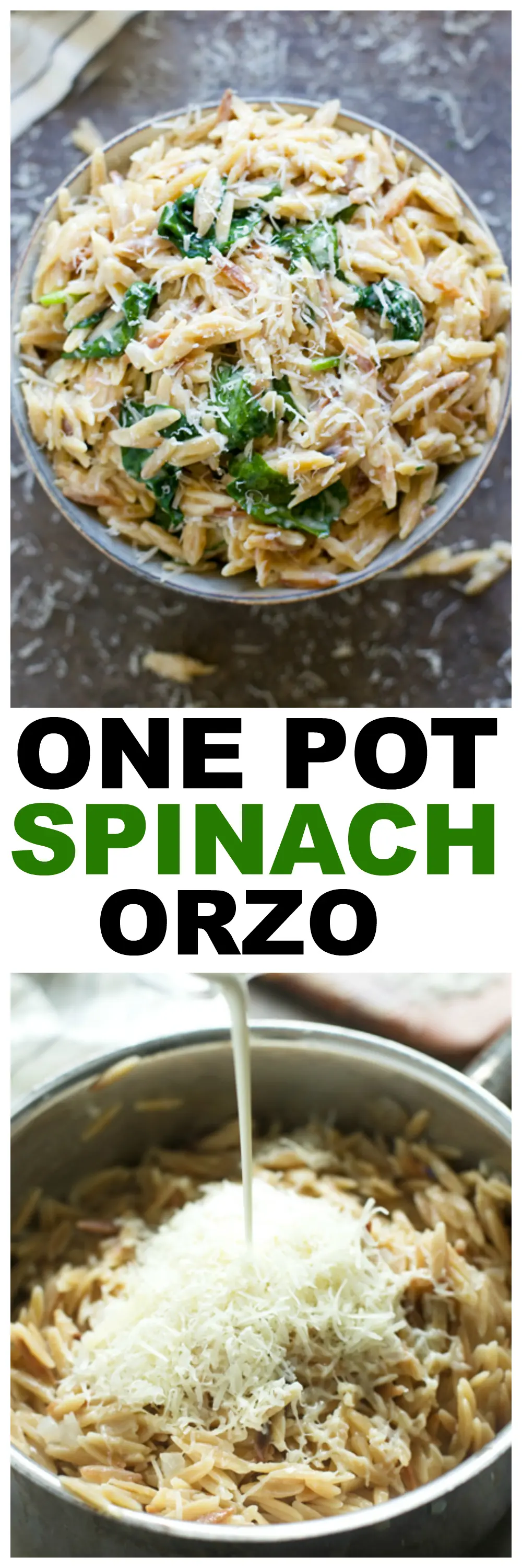 Creamy One Pot Spinach Orzo
