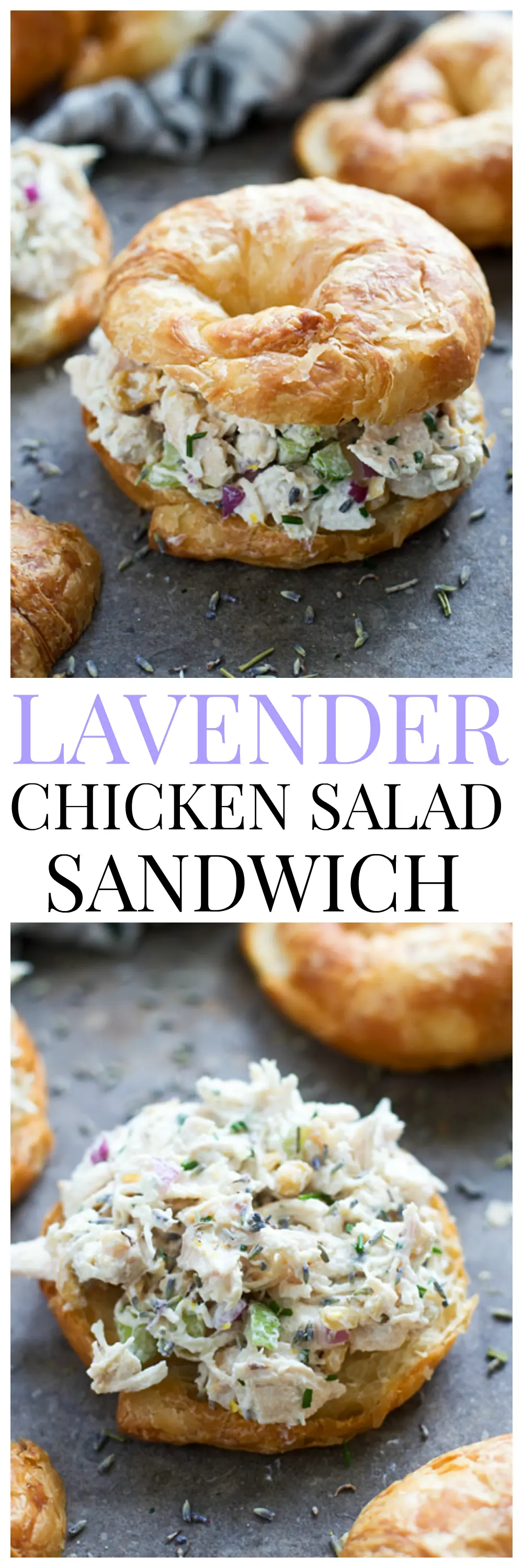 Lavender and Lemon Zest Chicken Salad Sandwiches (Lightened up with Greek yogurt and low-fat mayo!)