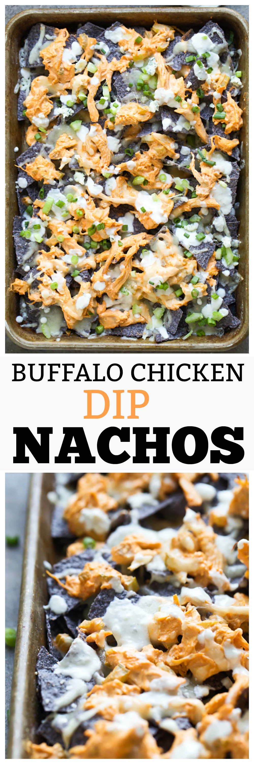 Buffalo Chicken Dip Nachos - Creamy buffalo chicken dip smothered over tortilla cheese, covered with cheese and then drizzled with blue cheese sauce. Heaven!