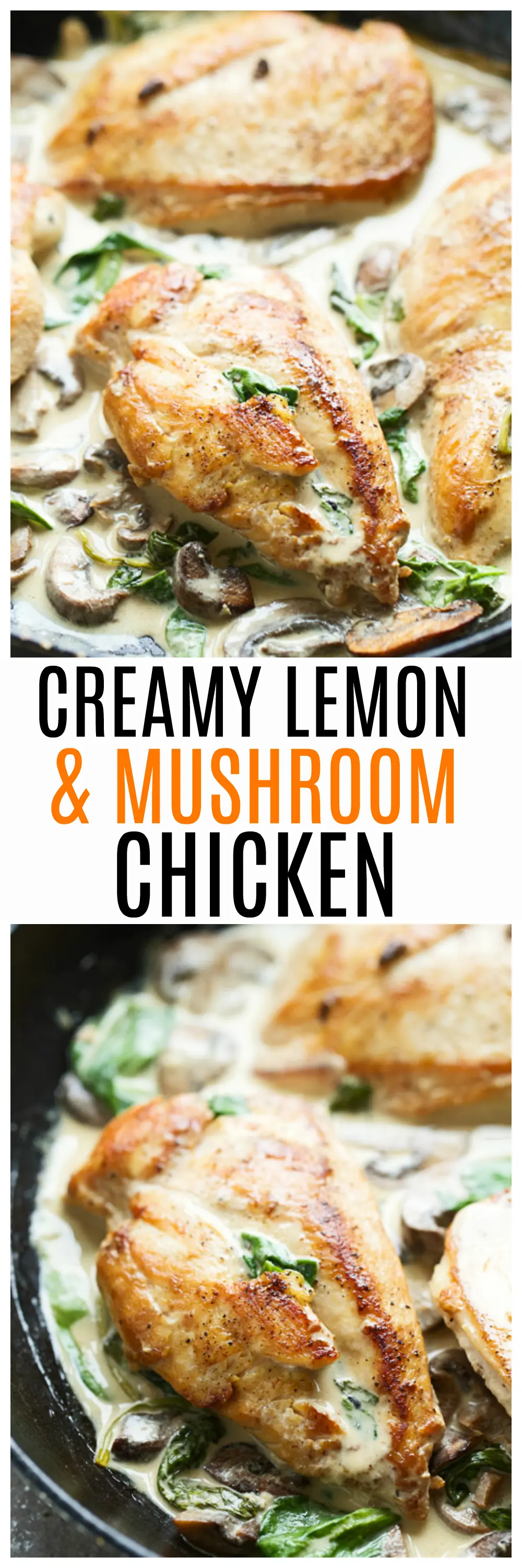 Creamy Lemon & Mushroom Chicken: Minimal ingredients, maximum flavor and ready in 30 minutes!